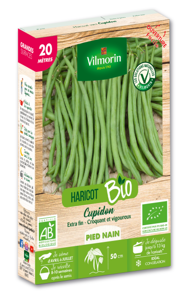 Légumes Secs - Haricot Nain Vert Cupidon - 20 m - BIO - PACKAGING_3D_RECTO